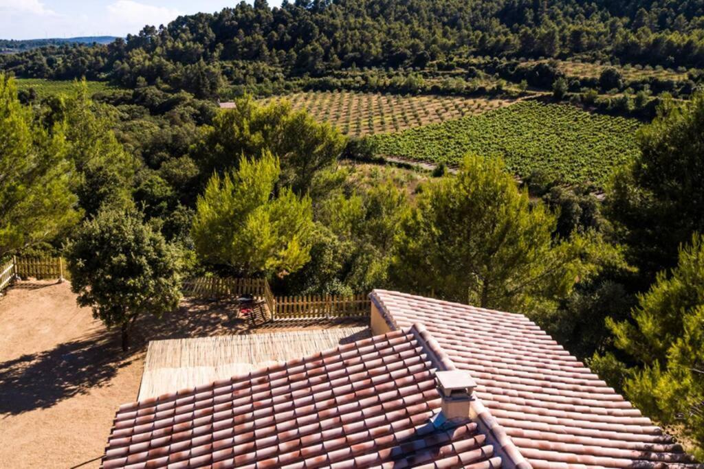 L'Arbre A Soleil Villa Aigues-Vives  Exteriör bild